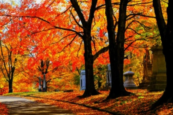 autumn