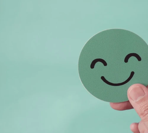 shutterstock_2049293123 (Large)