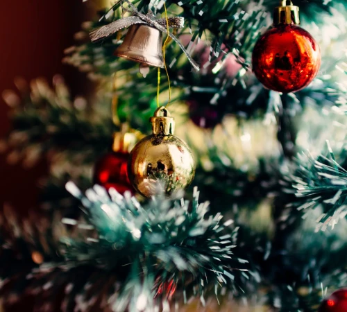 rodion-kutsaev-ySNkCkdKyTY-unsplash